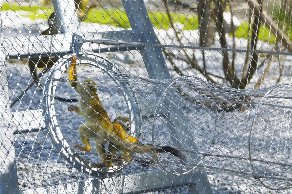 Animal safety fence