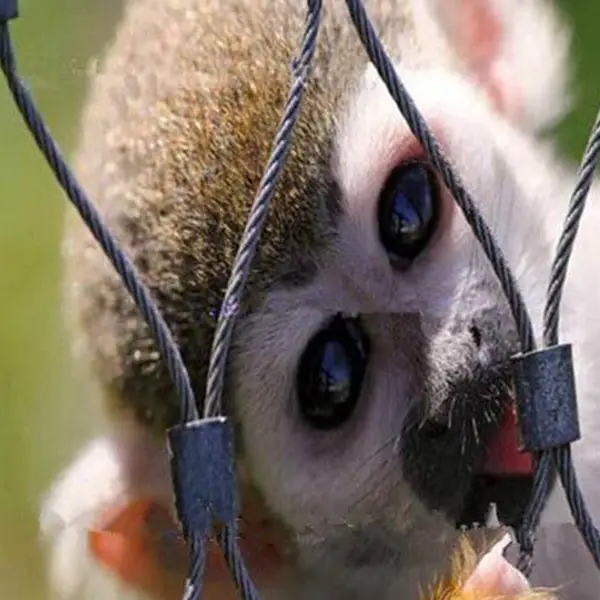 Animal safety fence